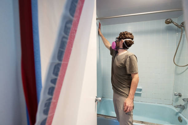 Best Comprehensive Air Testing for Mold Contaminants  in Cricket, NC