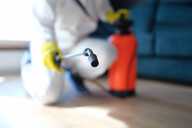 Best Biohazard Mold Removal  in Cricket, NC